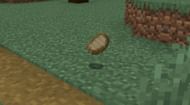 Cooked pork chops after killing a pig (Image via Minecraft)